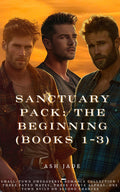 Book Cover Variant Thumbnail